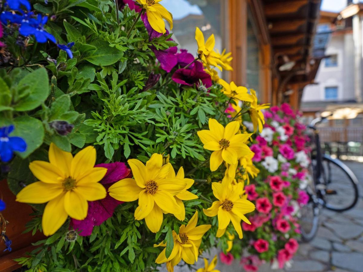 Alpenrose Hotel Livigno