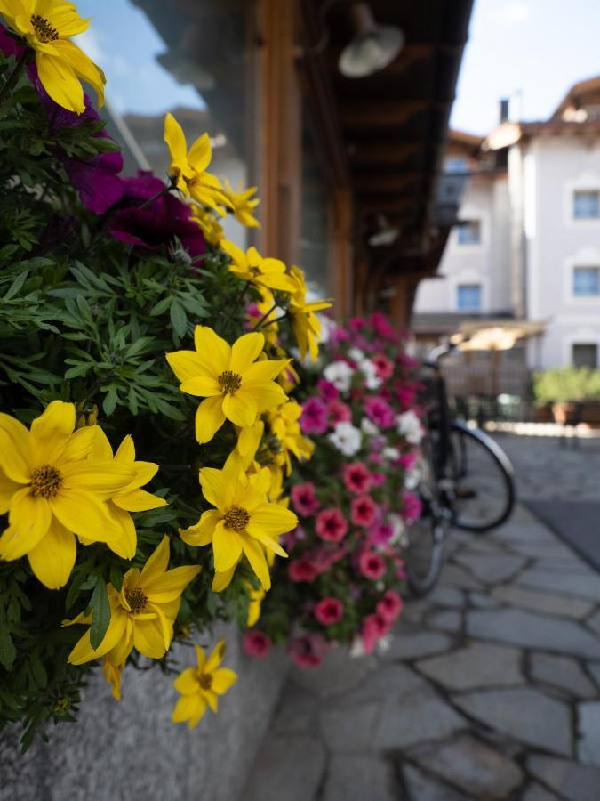 Alpenrose Livigno